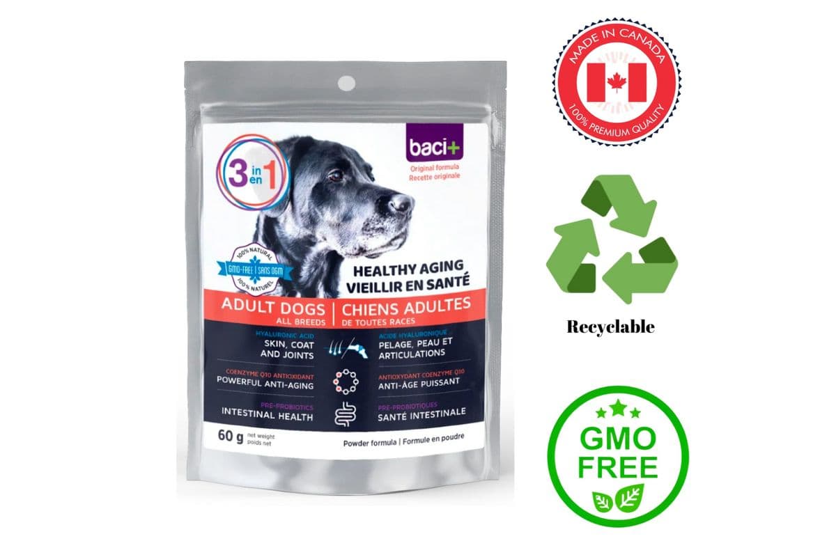 Baci+ - 3-in-1 Healthy Aging for Adult Dogs (60 g)
