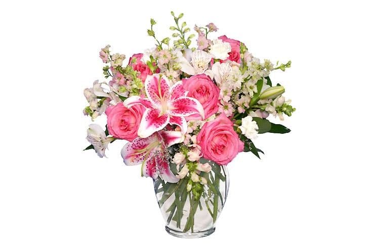 Pink & White Dreams