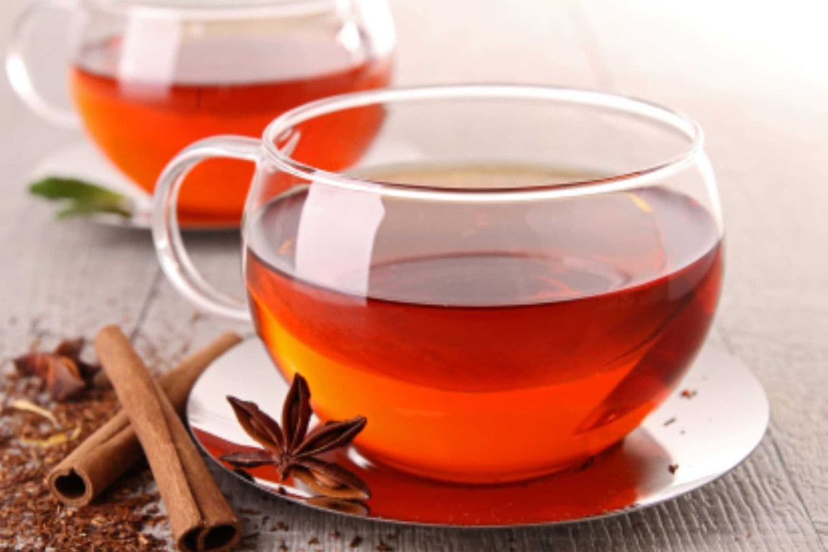 Rooibos Americano