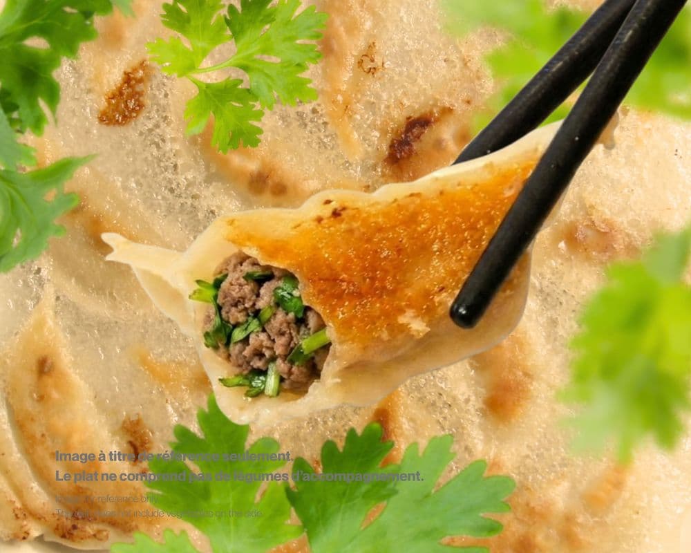 26.Lamb & Coriander Dumpling / Agneau & Coriandre Gyoza