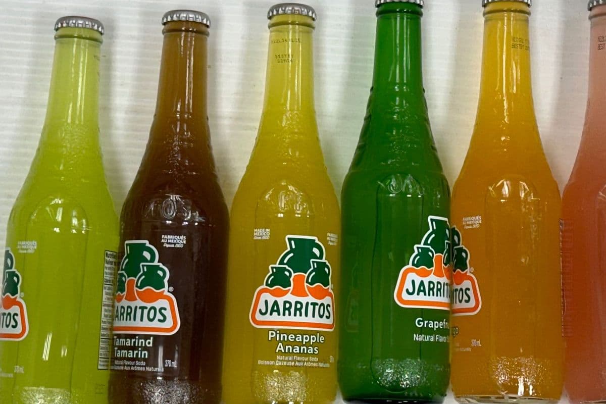 Jarritos Drinks (370 ml)