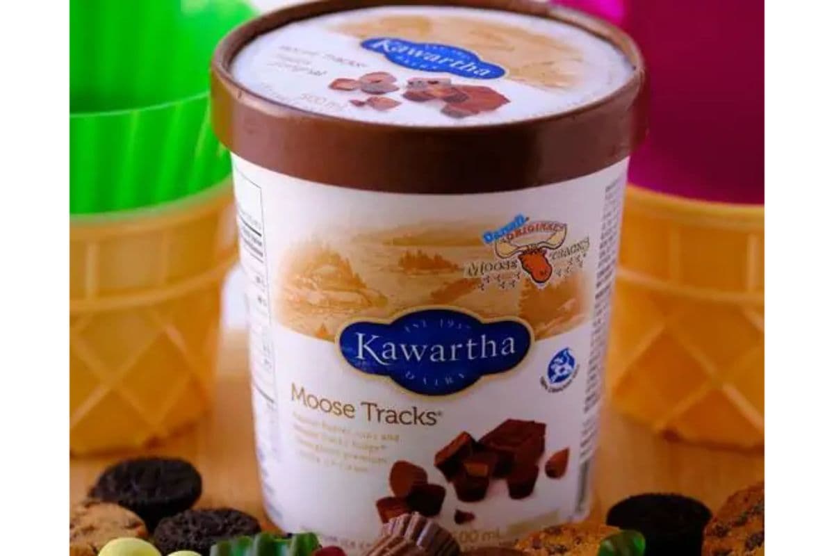 Kawartha Dairy - Moose Tracks - 1.5L Tub