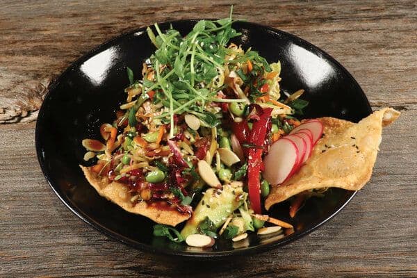 Crispy Wonton Temple Salad