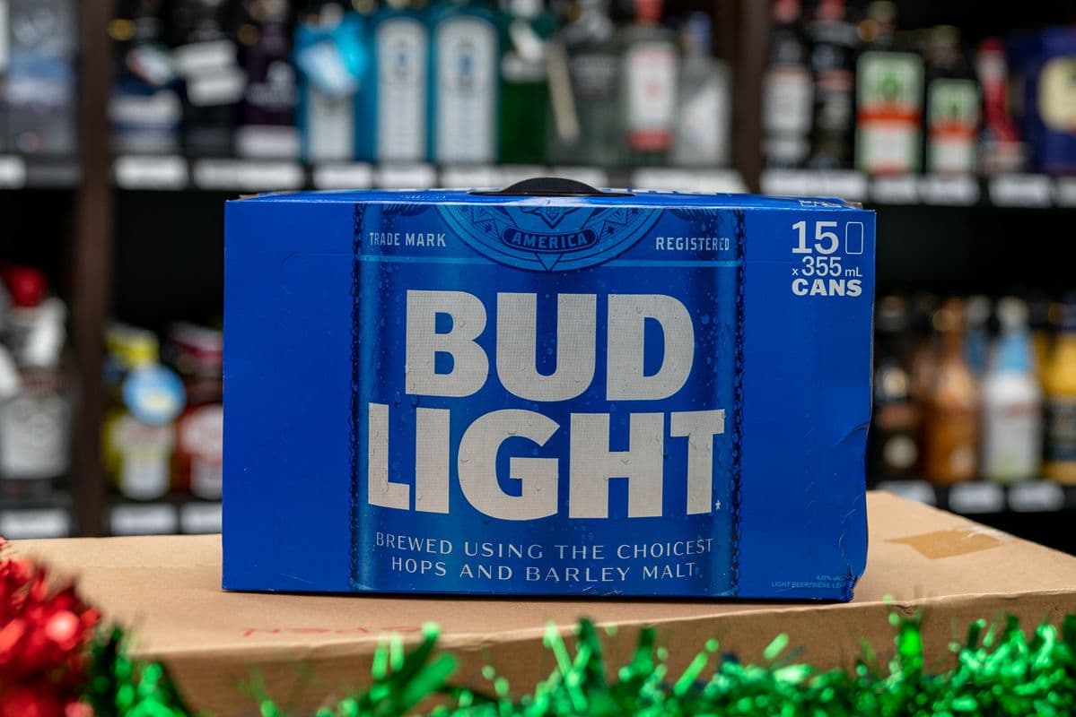 Bud Light (15 Pack Cans) (1 x 15pk)