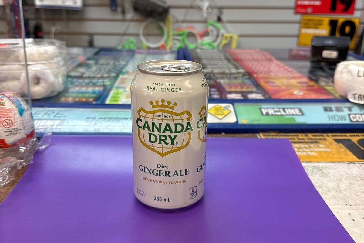 Canada Dry Diet Ginger Ale Can (355 ml)