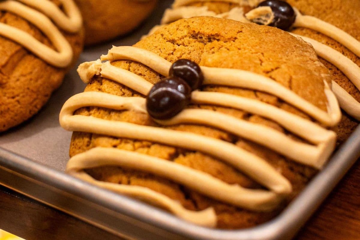 Gluten Friendly Oatmeal Chocolate Chip Cookie