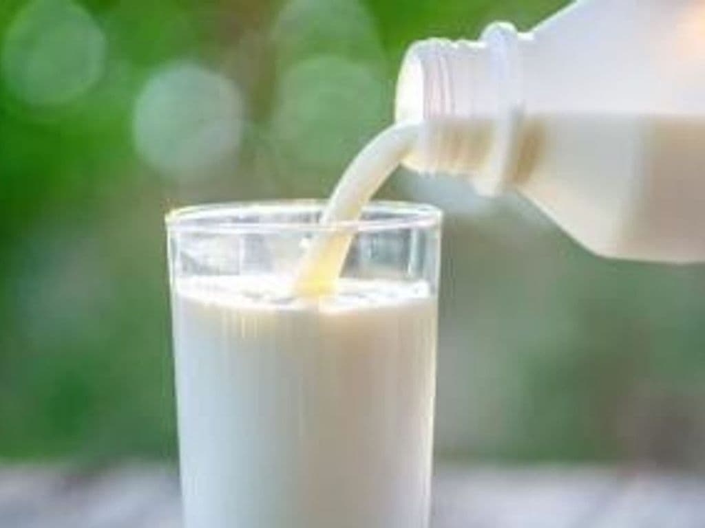 MILK