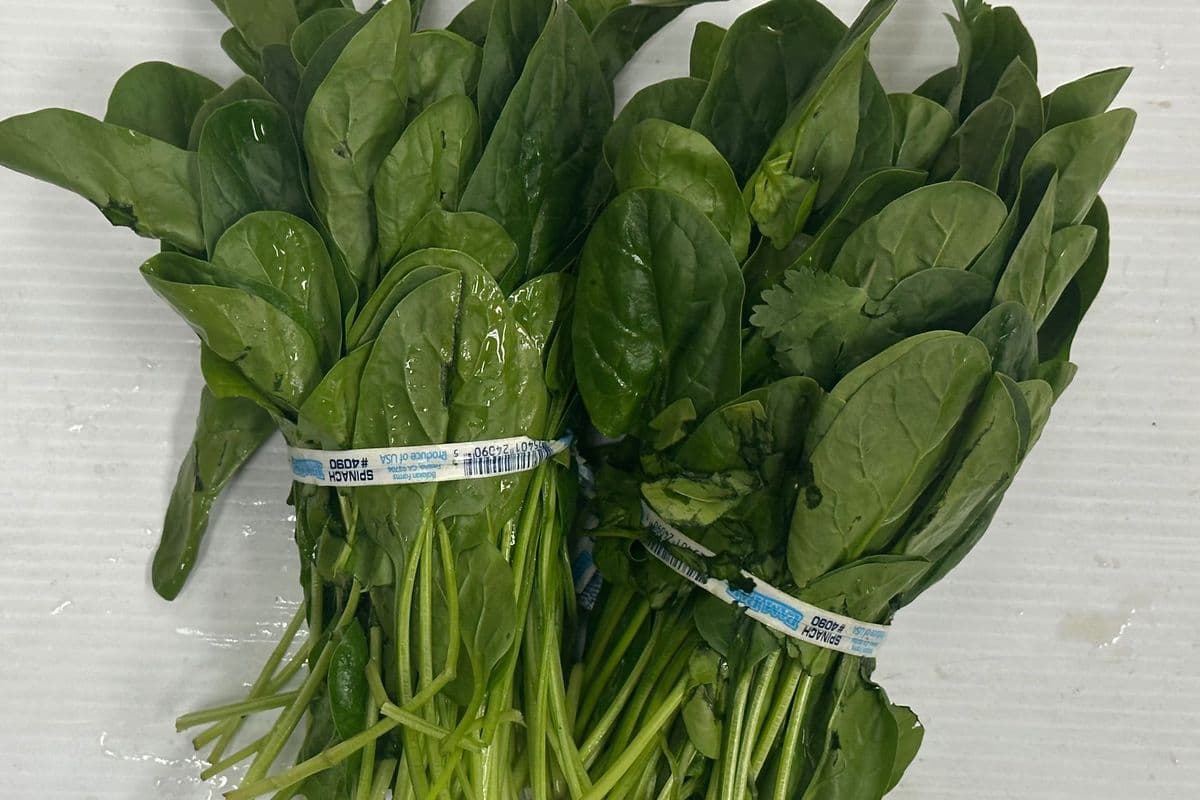 Spinach Bunch-Out of stock (Each )