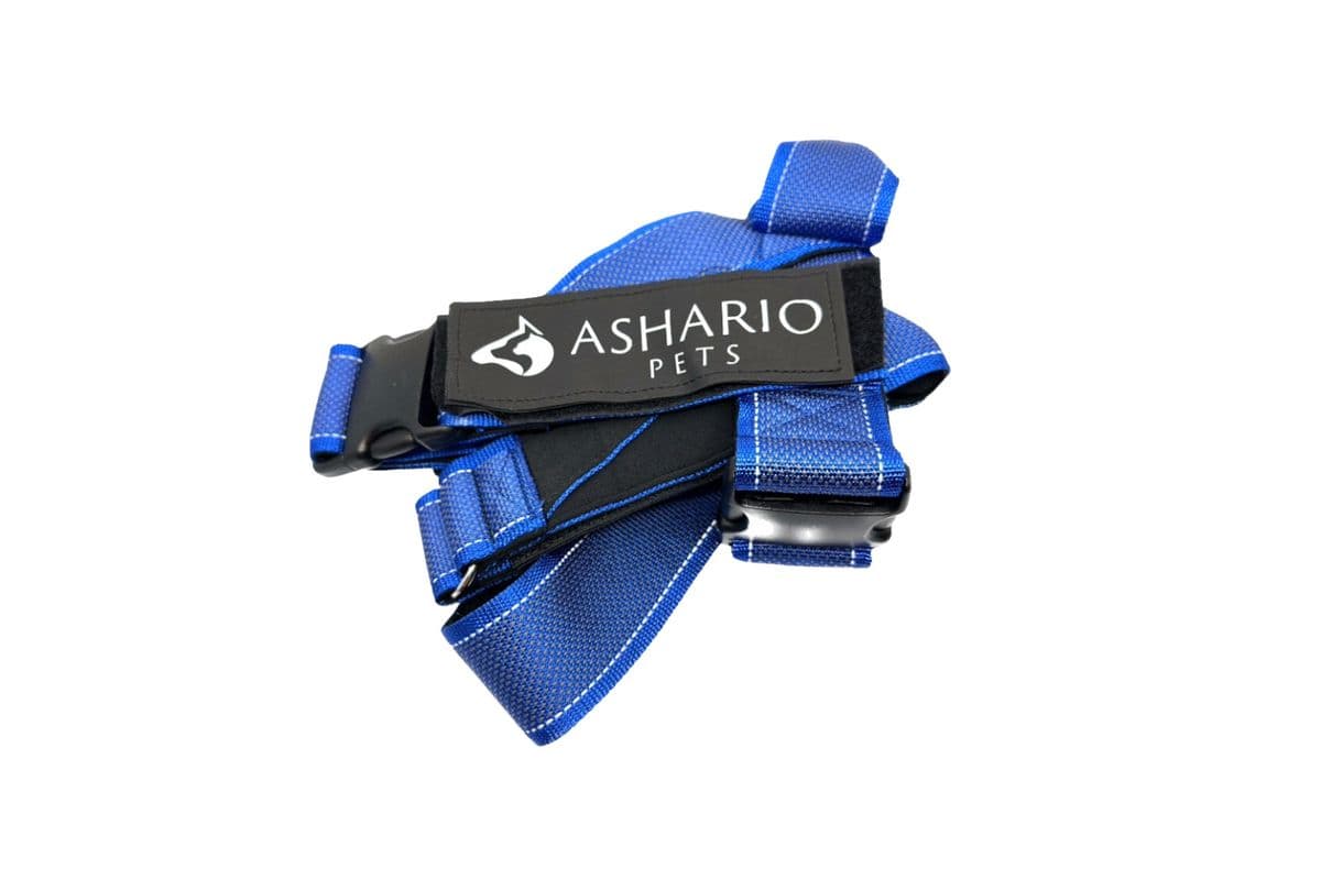 Ashario Pets - "BreezyVest" Summer Lightweight Reflective Harness - Blue - S