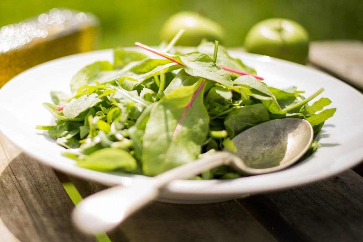 Organic Greens Salad