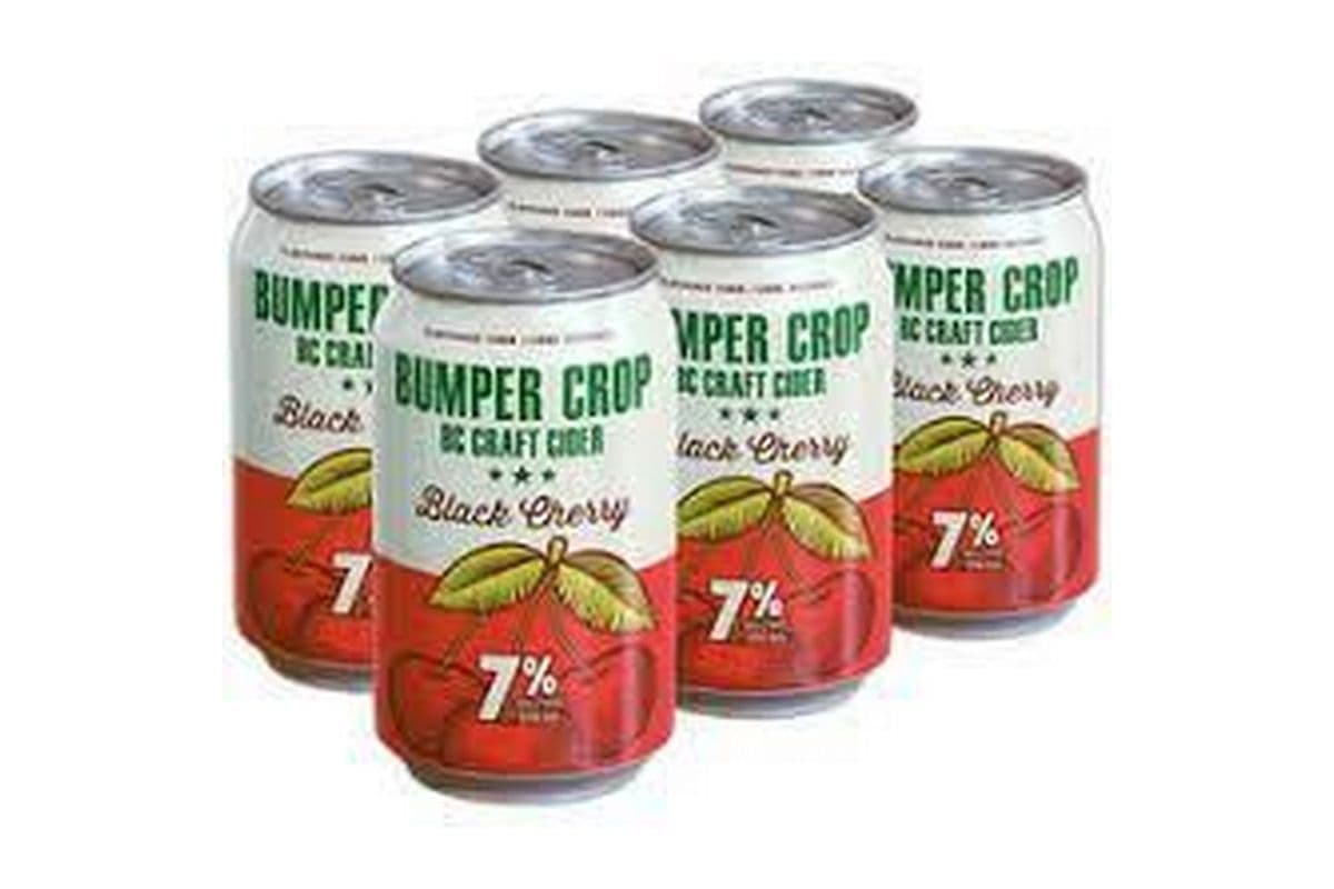 BUMPER BLACK CHERRY 6PK (6PK)