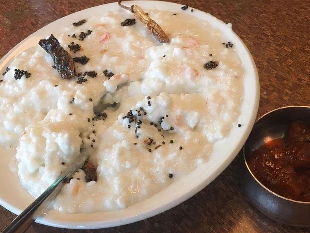 Curd Rice