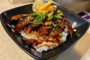 Unagi Don