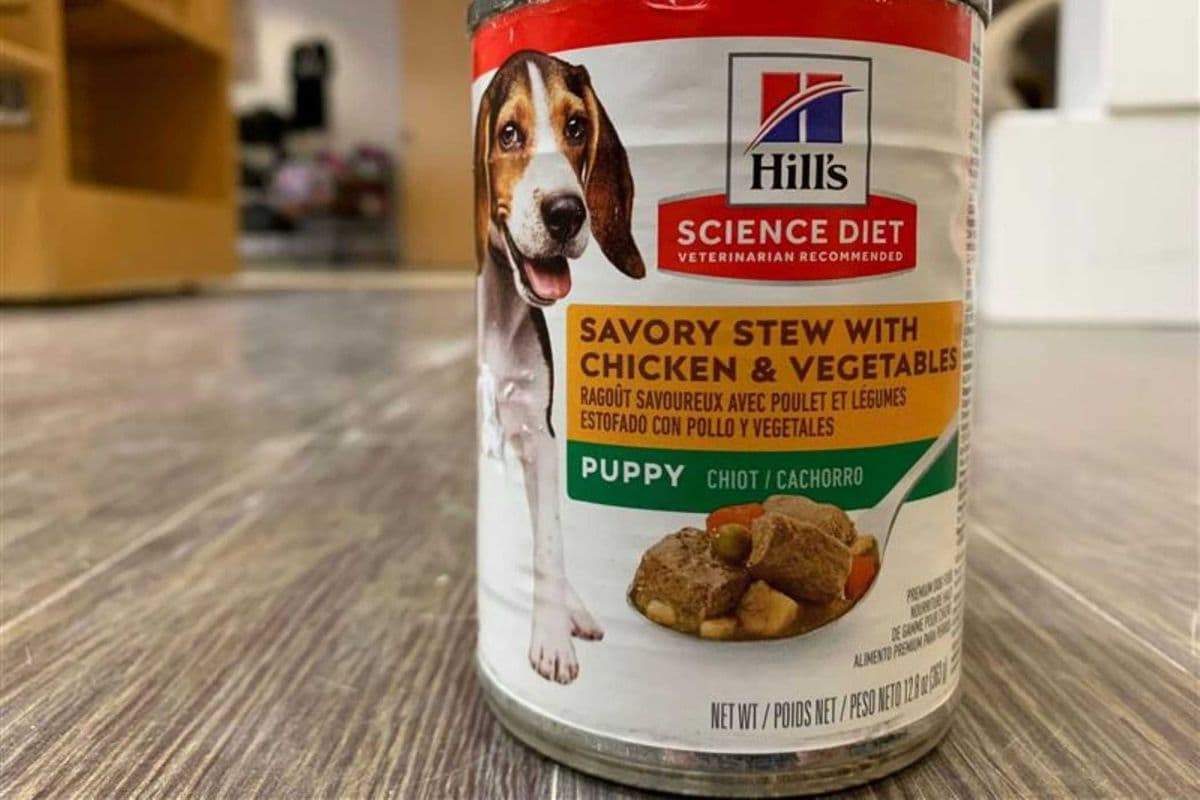 Hills | Canine | Wet | Puppy | Chicken Stew | 13oz