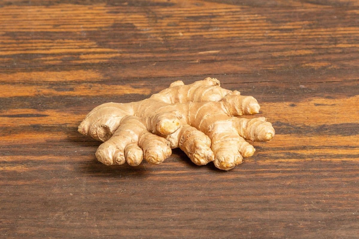 Ginger