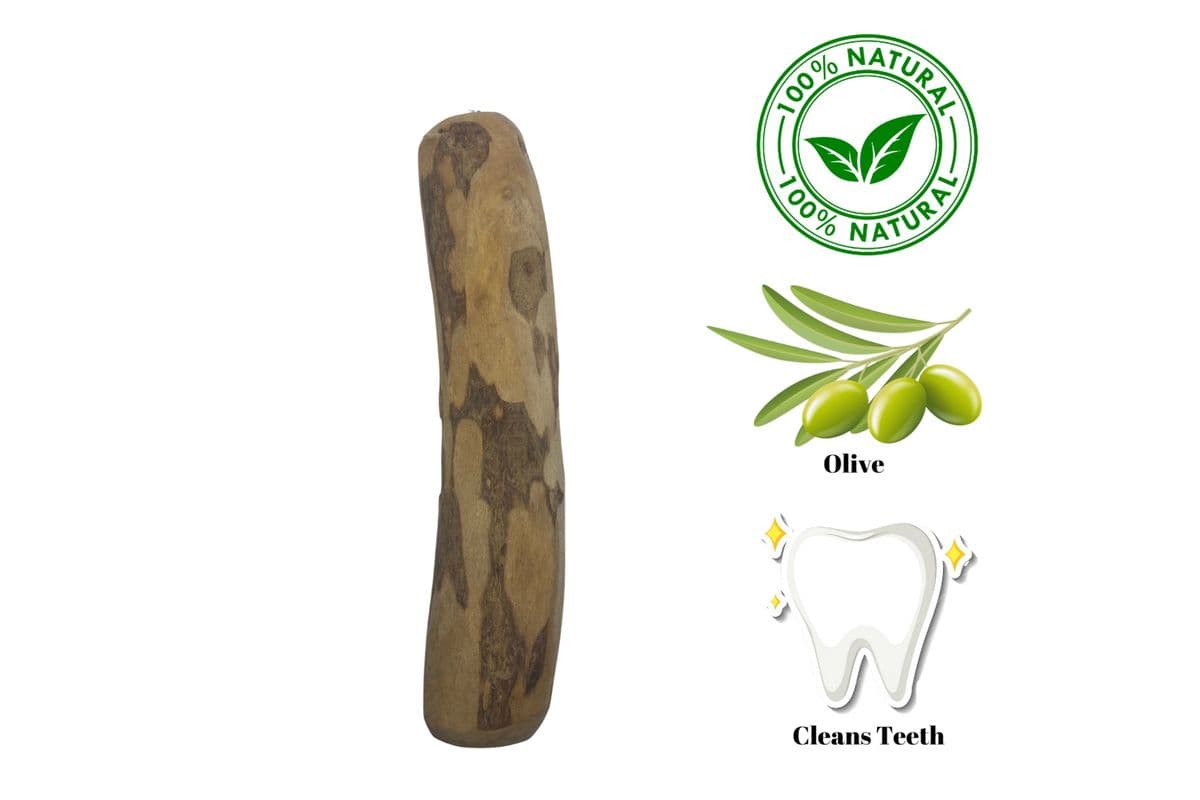 Zaytoon - Olive Wood Dog Chew - Large