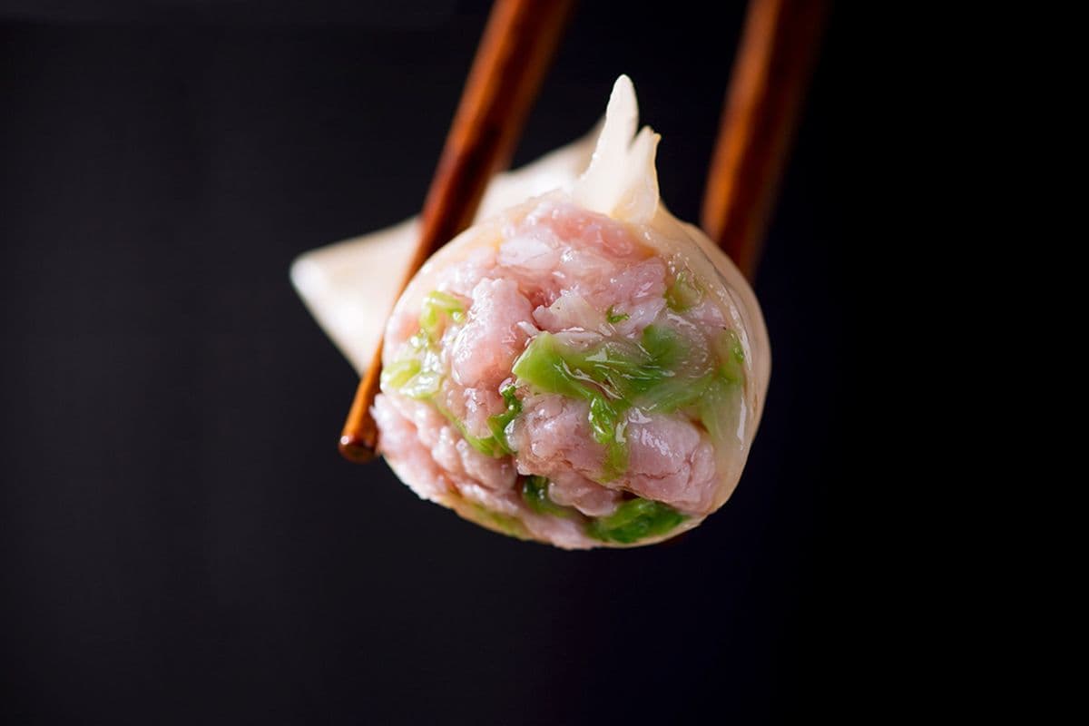 D8.Porc & Oignon Vert / Pork.Green Onion