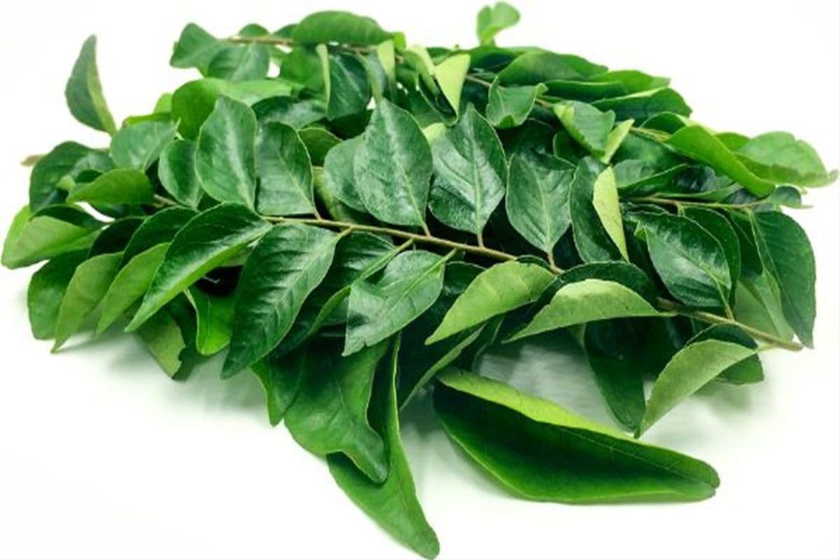 Curry Leaves (Karipatha) Pack (200g)