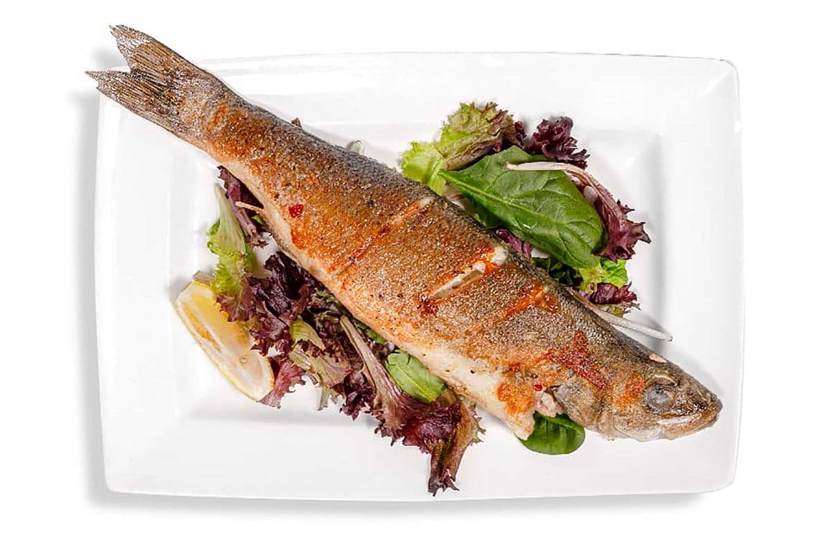 Sea Bass