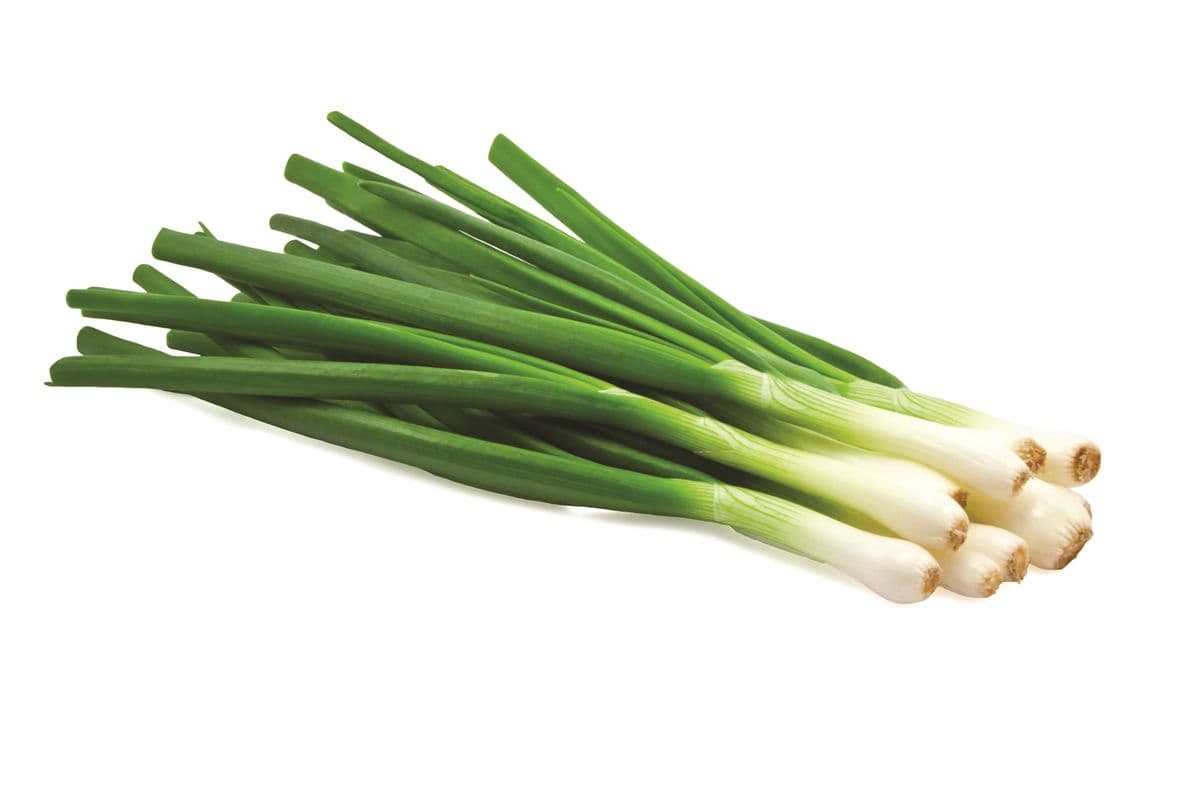 Green Onions (1 Pack)