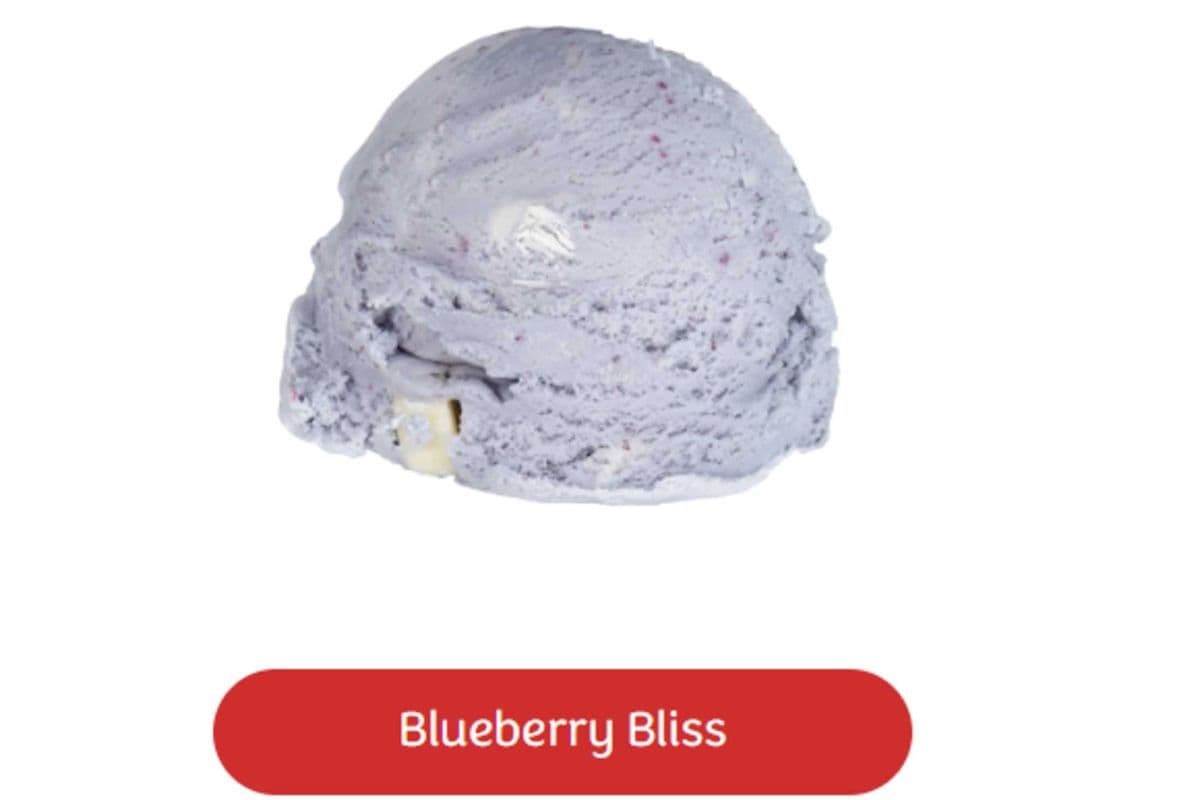 Blueberry Bliss (8 oz)
