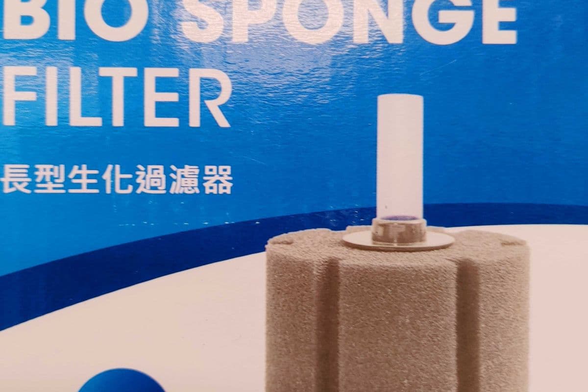 Large Round Sponge Filter (30 g)