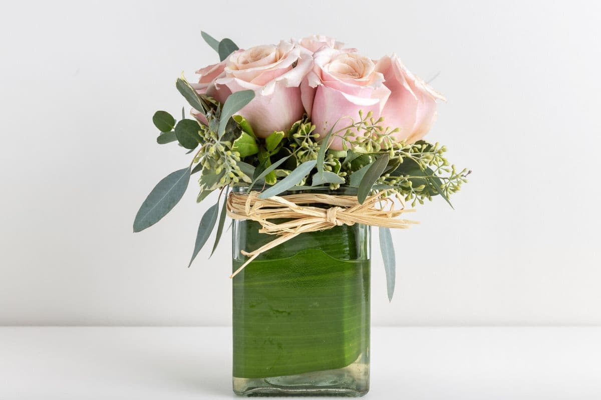Isabella Arrangement
