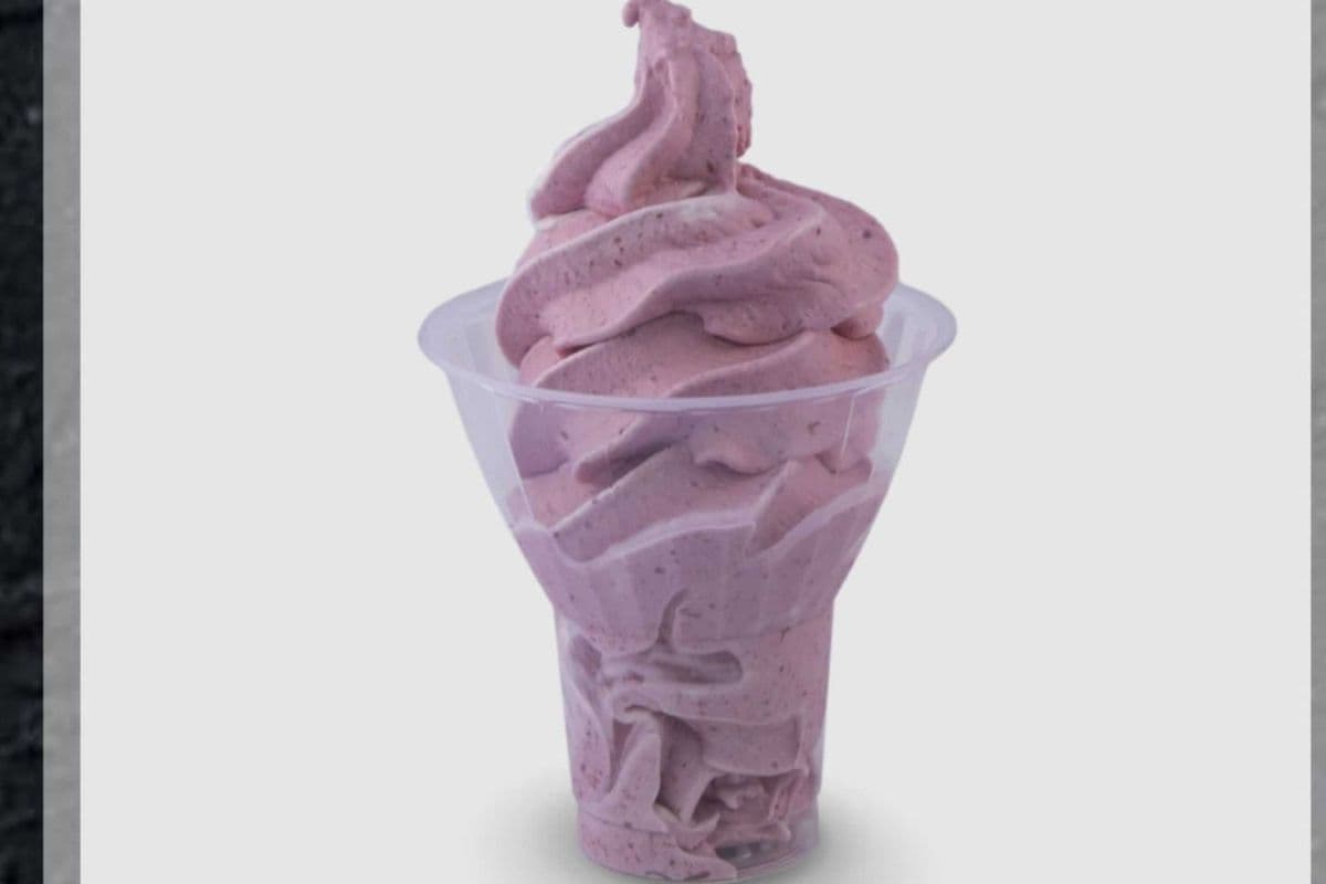 Yogourt, tofu ou ultra santé glacé petit