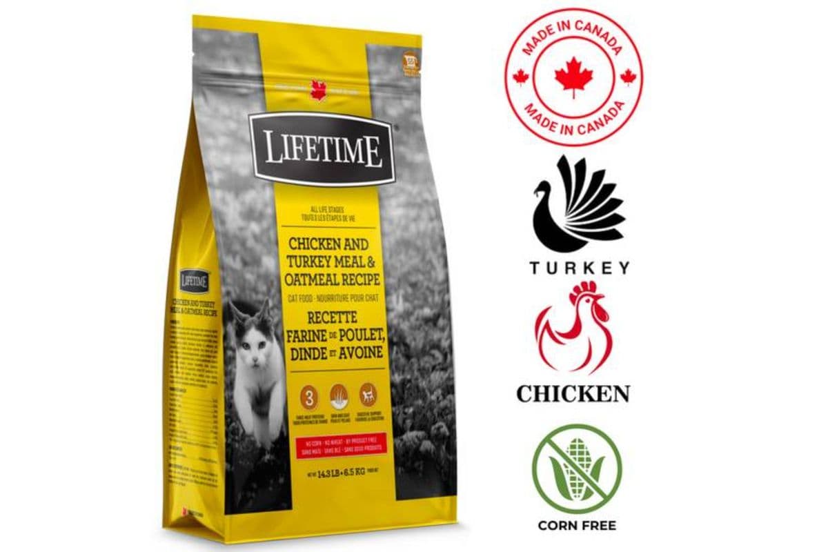 Lifetime - All Life stages Chicken Turkey And Oatmeal Dry Cat Food (2.27 kg)
