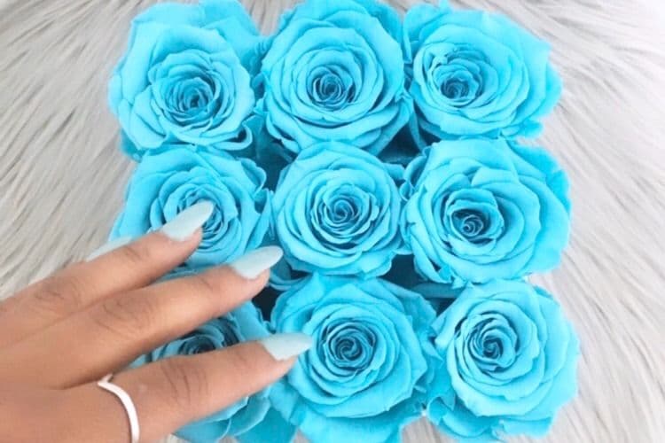 9 Infinity Roses in a White Square Box