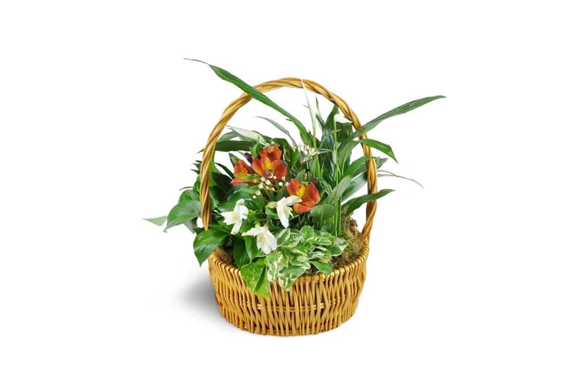 Thinking of You Garden Basket