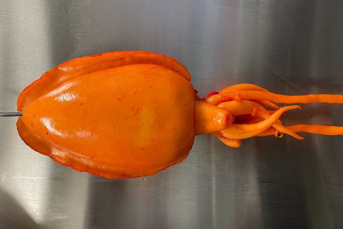 Cuttlefish BBQ (1 lb)