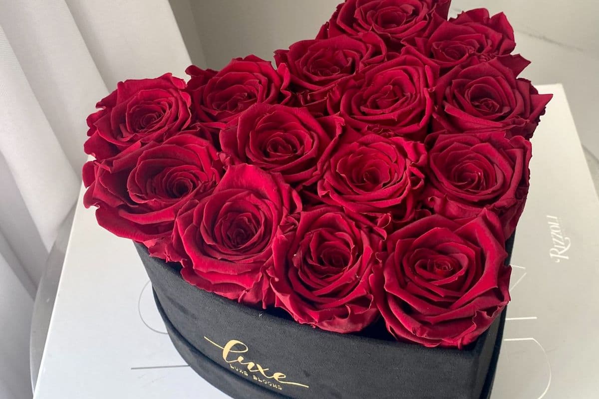 Heart-Shaped Infinity Rose Box (14 Roses)