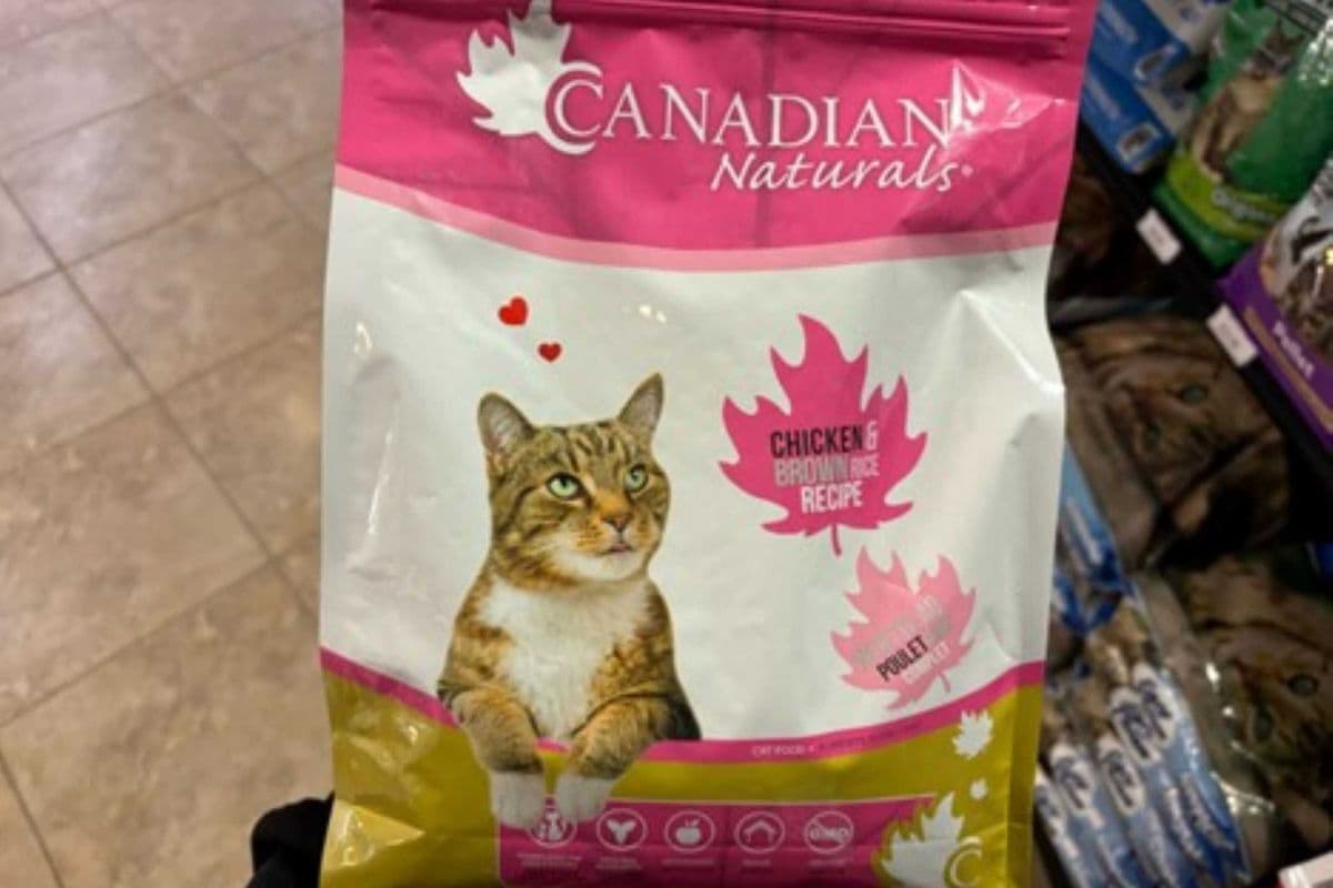 Canadian Naturals | Feline | Dry | Chicken Brown Rice | 3lb (3lbs)