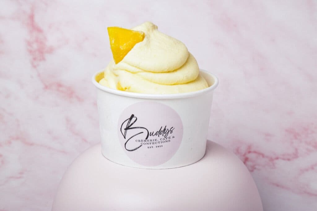Yogourt Glacé/ Frozen Yogurt
