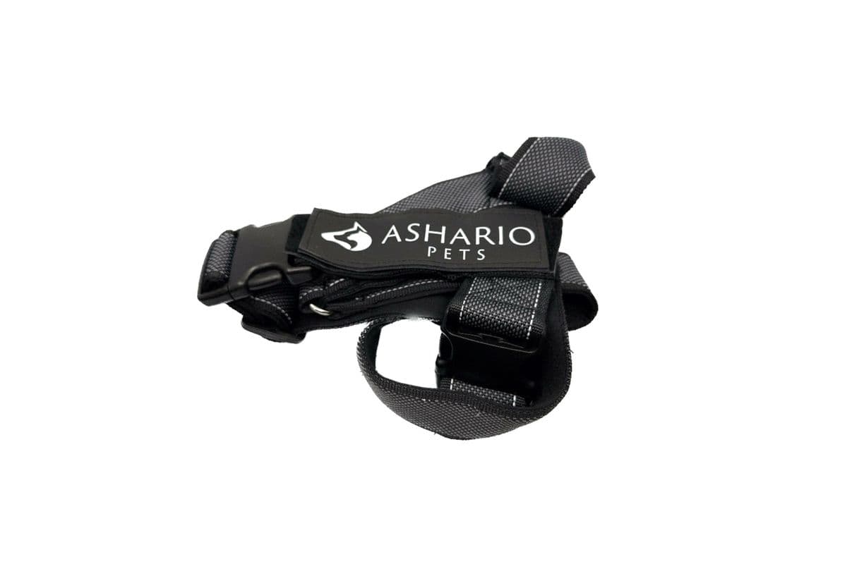 Ashario Pets - "BreezyVest" Summer Lightweight Reflective Harness - Black - XS