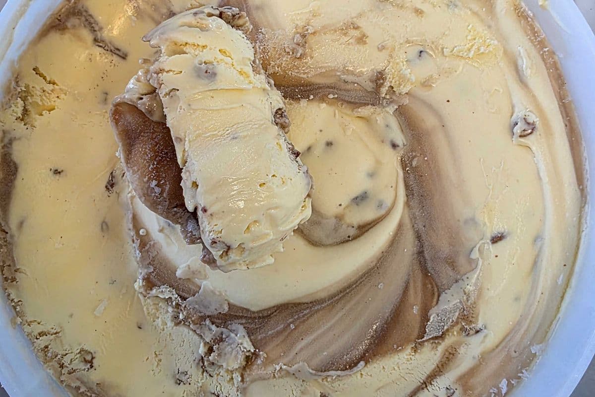 Ice Cream - NO SUGAR - PRALINES & CREAM