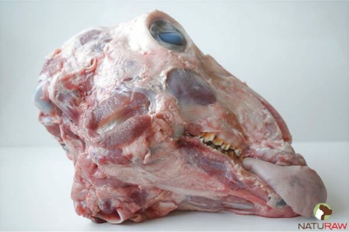 Free-Range Lamb Head (1 piece)