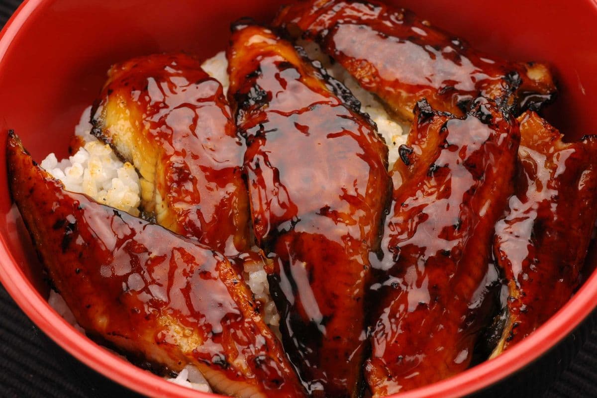 Unagi Don