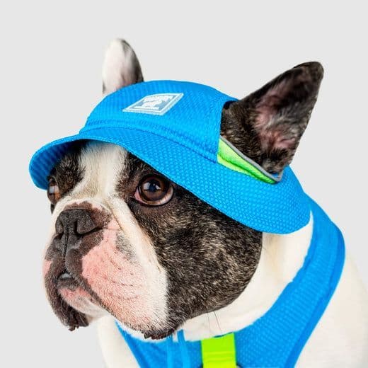 Canada Pooch Cooling Bucket Hat For Dogs - Medium