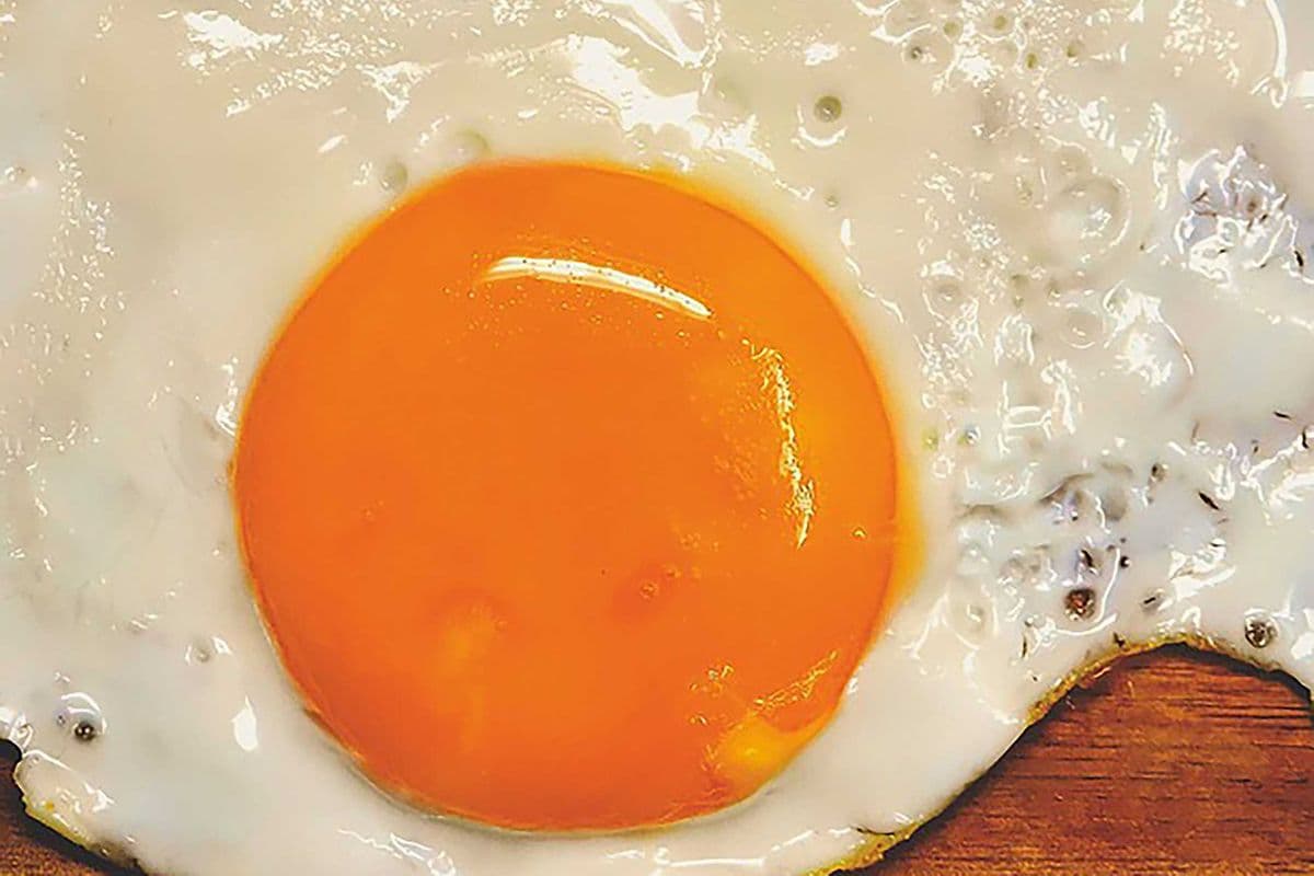 E5_Œuf frit / Fried Egg