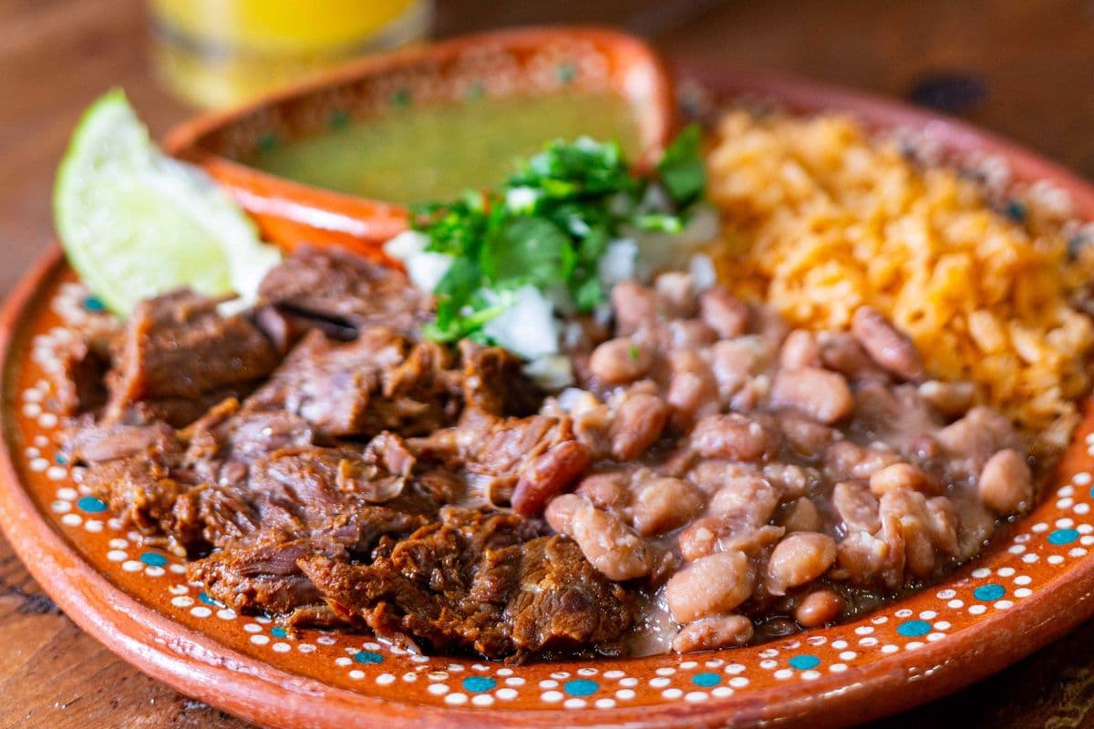 Birria Plate
