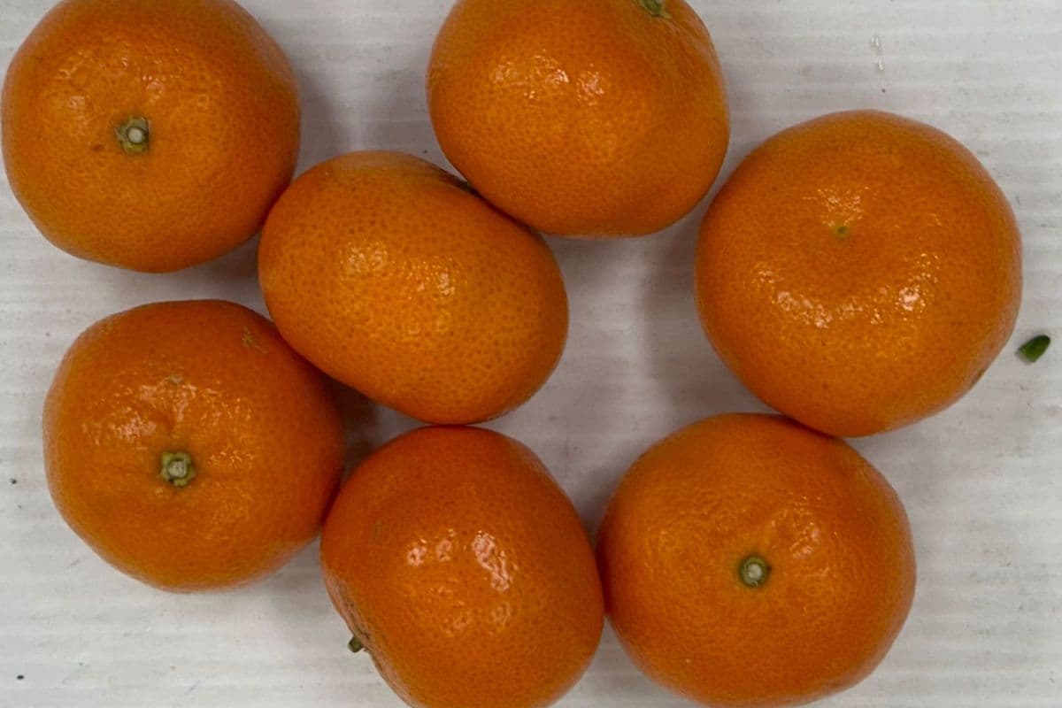 Out of stock Stem Clementines 1.99/lb (1 LB)