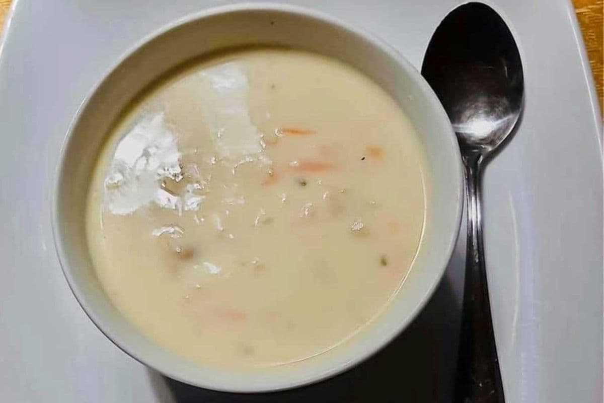 Cream of Chicken Soup