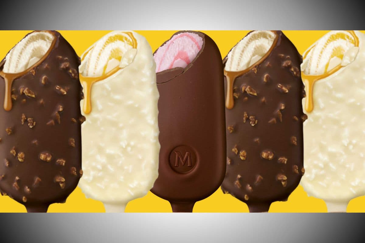 Magnum | Specialty ice cream bars | pack of 3 (255-300ml)