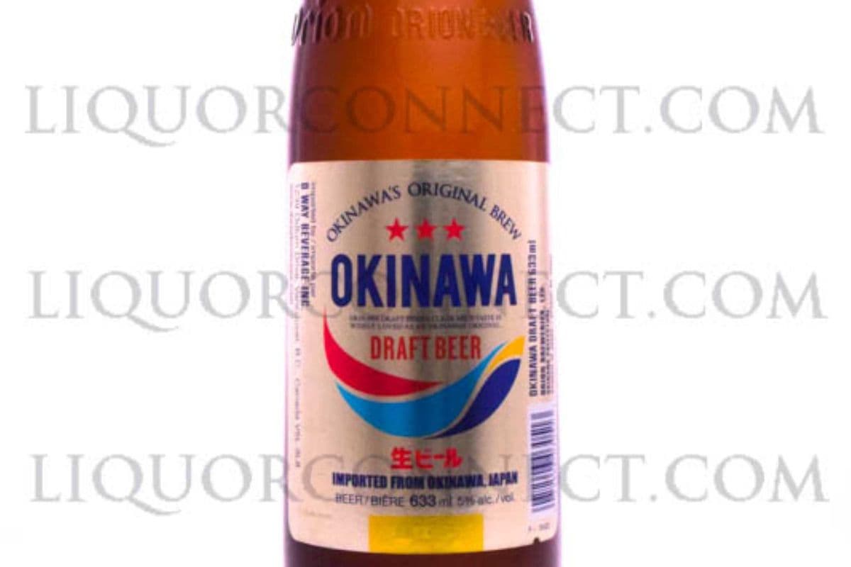 ORION BEER PREMIUM DRAFT (1 x 620ML)
