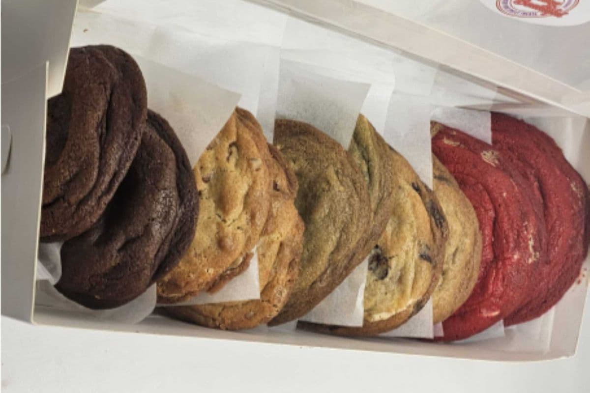 Pack of 6 Regular Cookies