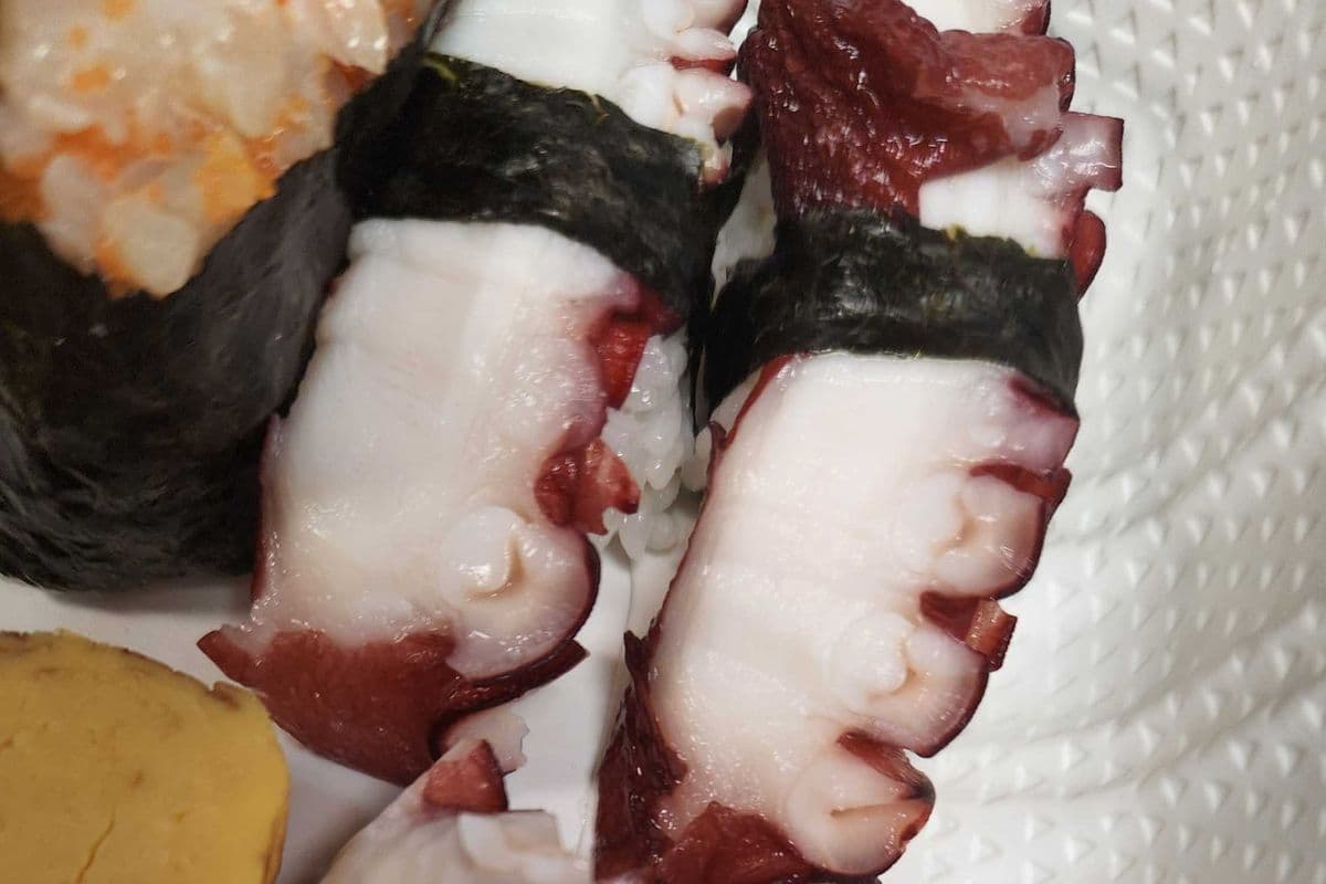 Tako (Octopus) Nigiri Sushi