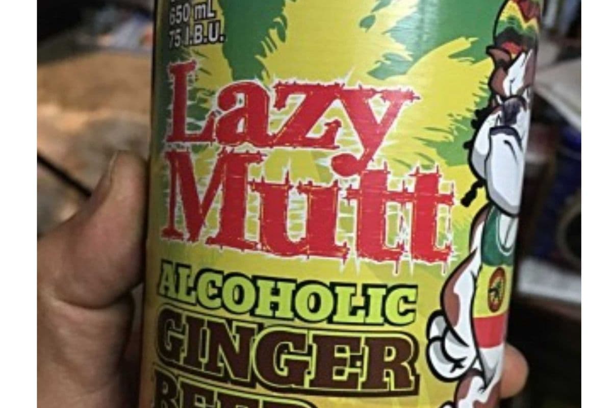 LAZY MUTT GINGER BEER-6 PACK (6 x 6*355ML )