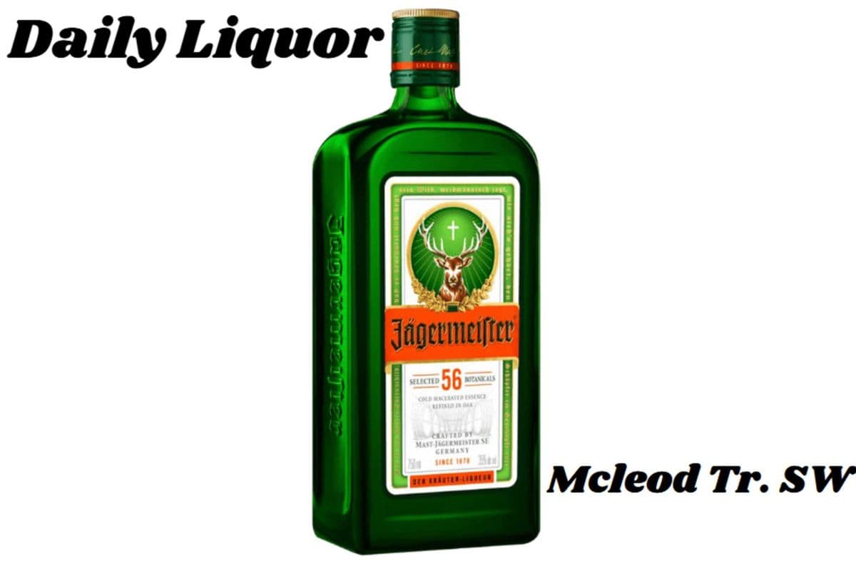 JAGERMEISTER 200ML (1 x 200ML)